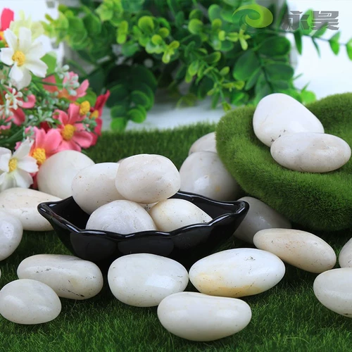 Цветочный горшок с галькой цвето