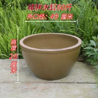 60 Catties of Lotus Pot