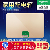 Schneider Electric Tianlang Concealed gold door 8-bit loop distribution box Strong electric box wiring box