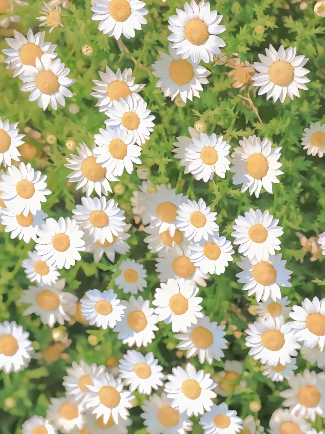 慢品家居