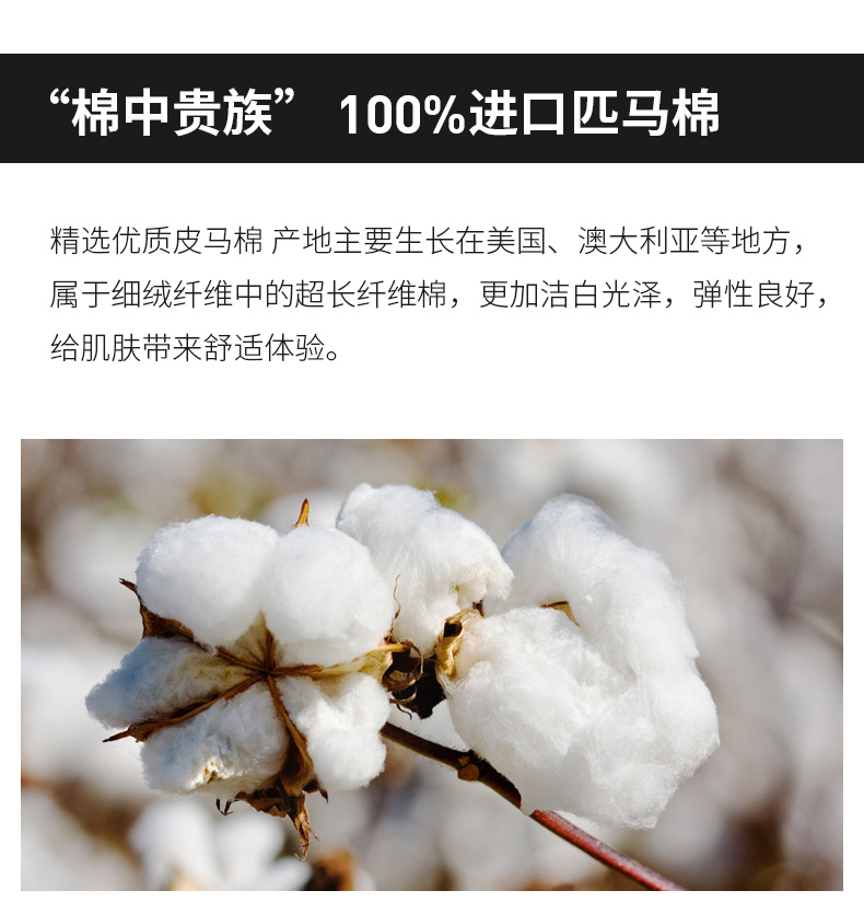 与狼共舞 男士 美国皮马长绒棉 POLO衫 220g高克重 图3