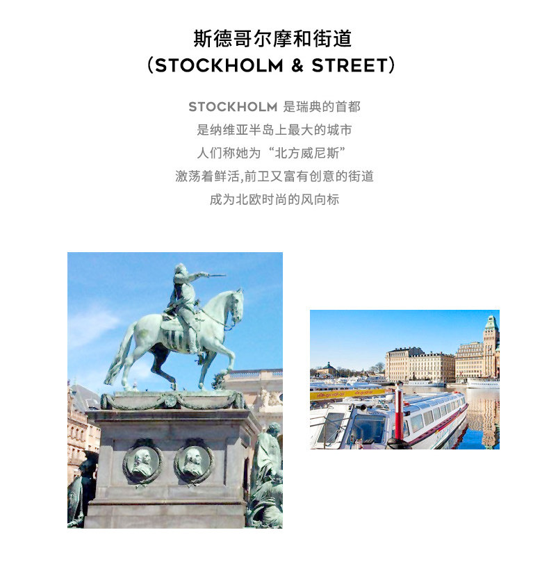 Blouson homme D WOLVES     - Ref 3120825 Image 9