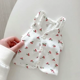 Щенки щенков Щенки плюшевой кошки кошачьи