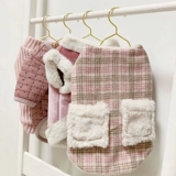 Лучшая домашняя собака собака одежда плюшевого медведя красота красотка биннари