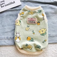 Светло -зеленый кролик