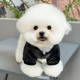 Dog Cotton Coat with Leash, Pet Clothing for Autumn and Winter, Warm for Bichon, Teddy, Cat, Pomeranian, Small Dogs, Winter Cotton Coat