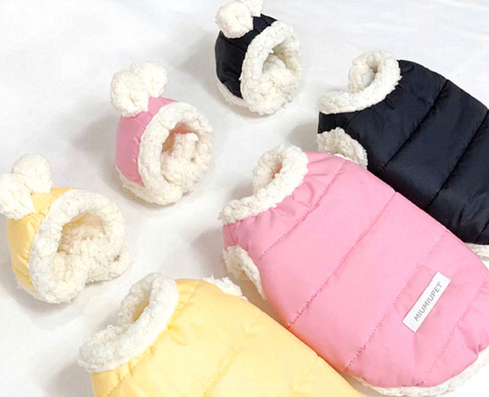 Autumn and Winter Dog Cotton Coat Teddy Bichon Pomeranian Poodle Schnauzer Yorkshire Cat Pet Clothes Thickened and Warm