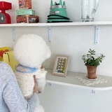 Лето тонкий питомец плюшевый жилет Барри Жилет маленькие собаки и кошачья летняя летняя собачья одежда дышат и выпускаются