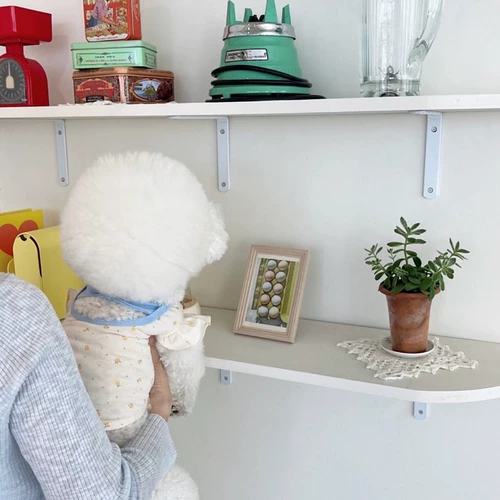 Лето тонкий питомец плюшевый жилет Барри Жилет маленькие собаки и кошачья летняя летняя собачья одежда дышат и выпускаются