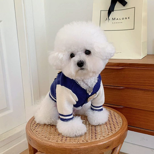 Bixin Pet Knitted Sweater for Bichon Frise, Teddy, Cats, Pomeranian, Schnauzer, Small Dogs, Dog Clothes for Autumn and Winter
