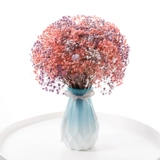 Полный Tianxing Beam Township Truct Trumped  揖 枵 枵 枵 枵 枵 小 小 满 满 满 满 满 满 满