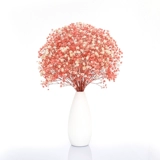 Полный тиансинг сухой цветок True Flower Букет свежий домашний декора