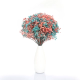 Полный тиансинг сухой цветок True Flower Букет свежий домашний декора