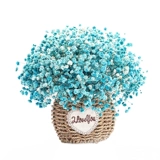 Yunnan Manbian Dry Flower Букет Little Fresh Home Demeration Не забудьте настоящие цветы сухие цветы естественно, придиранный к воздуху букет