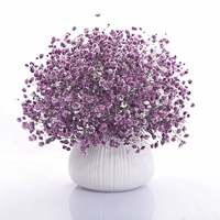 Pro Big Bunch Purple Full Sky+овальная фарфоровая бутылка