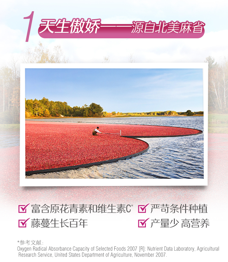 澳洲 Swisse 高浓度蔓越莓胶囊 30粒 图7