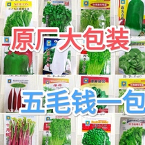 Flower-plant vegetable Vegetable Radish Seed Siguzi Season Seeds Vegetable Strawberry Turnip Chilli Cucumber Family Home