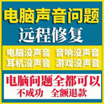 Computer Has No Sound Problem, Remote Repair, No Sound Debugging, Laptop Headset Microphone Cannot Record, Repair