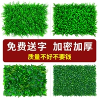 Моделирование растения стена Горто Завет Фоно -стены