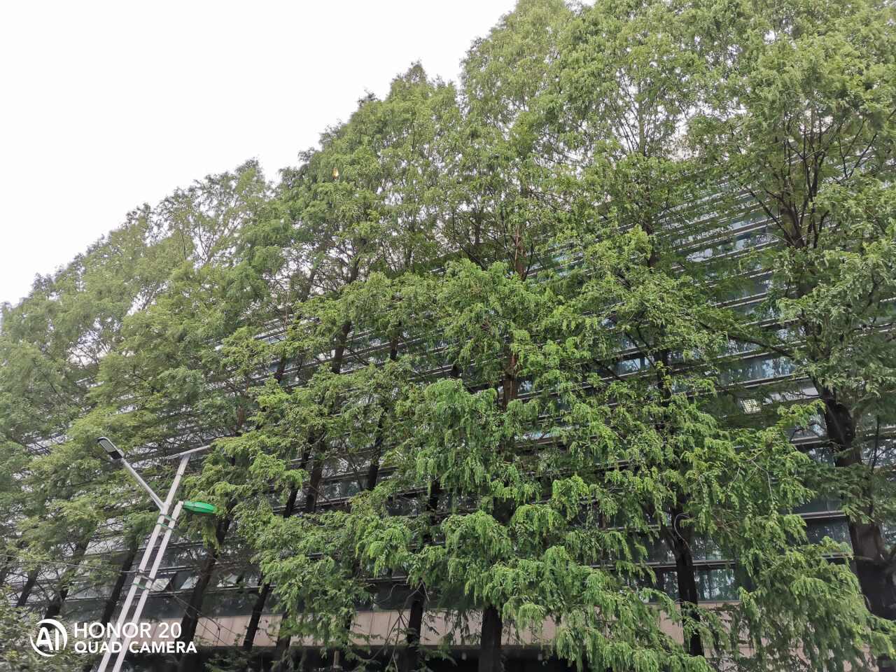 台湾快剪(港澳广场)的第2张图片的图片资料