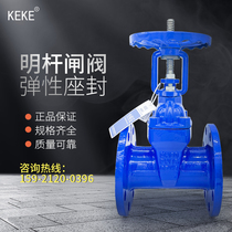 Shanghai Keke Valve Z41X-16Q Fire Bar Gate Valve Seats Soft Seal Flange Ductile Iron DN50 400