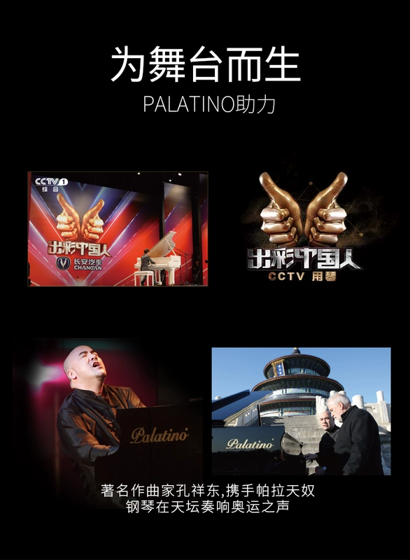 Palatino V22 Palatino piano thẳng đứng dành cho người lớn 88 phím đàn piano - dương cầm