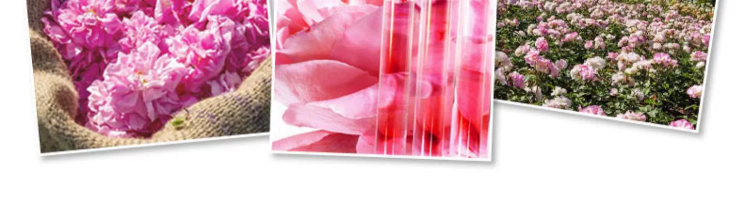 CARSLAN / 兰 Kem nền che khuyết điểm dạng lỏng trang điểm màu nude cô lập BB cream chính hãng nước hoa hồng tinh dầu nhỏ giọt - Nền tảng chất lỏng / Stick Foundation