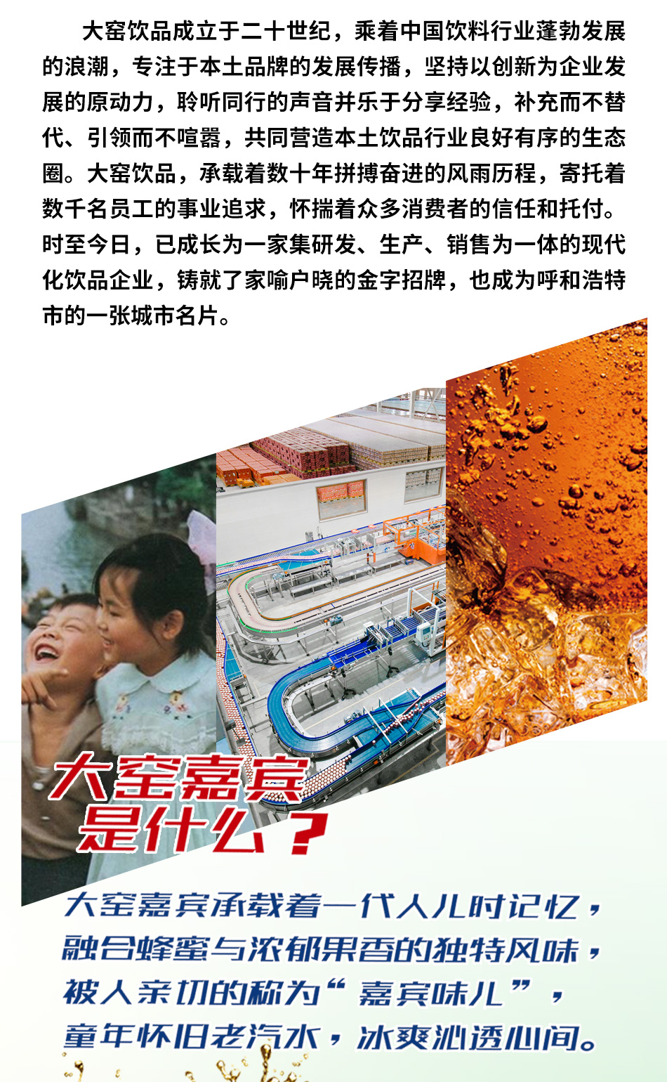 内蒙特产 大窑嘉宾 果味碳酸饮料 怀旧汽水 500ml*20罐 图9