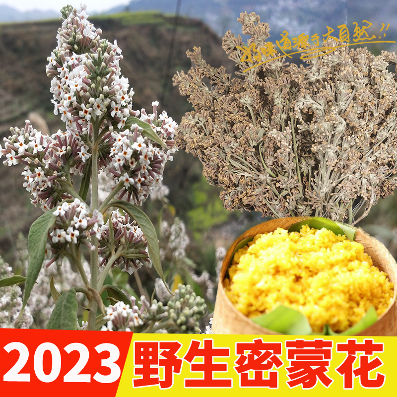 Guizhou specialty 2023 fresh wild Mimeng flower dyed rice flower glutinous rice flower plant dye flower rice yellow rice flower