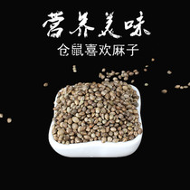 Small Favorites Snack Golden Silk Bear Squirrel Mix Mouth Grindroe Small Eating Hamster Hamster Hamster Zero Eater Numb 100g