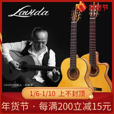 Lavida Labita 30 50 60 79C 89 Flamenco Flamenco Single board electric box Classical Guitar