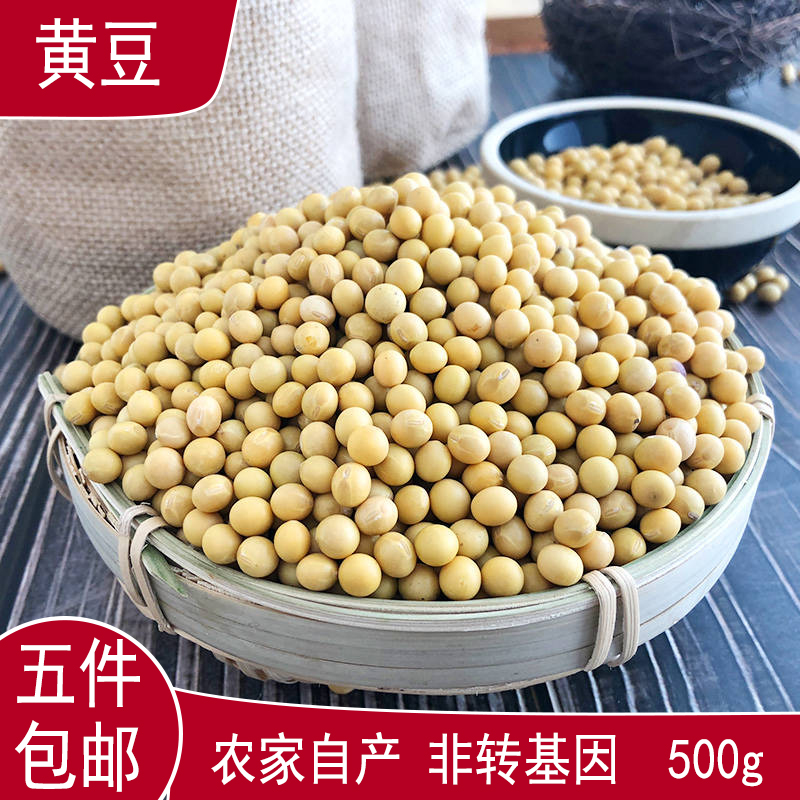 Five new products Soil soybeans farmers grow their own tofu and soymilk sprouted grains Grains Daquan 500g