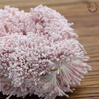 Круглая голова цветочный световой порошок 1 пучка