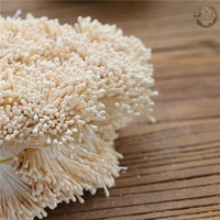 Раунд -головая цветочная тычинка 1 пучка