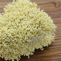 Круглая голова цветочных тычинок неглубокая желтая 1 пучка