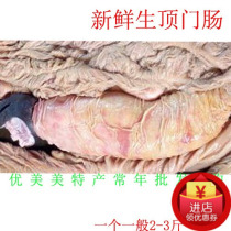 Donkey top door intestines Free-range fresh slaughtered large intestine head donkey intestines large intestine head bowl mouth vacuum packaging 3 pounds of donkey miscellaneous