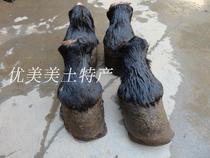 2 shelled hairy black hooves Fresh donkey palms and feet Authentic black donkey hooves shelled evil hooves pointed claws Raw meat