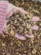 Scutellaria baicalensis 500g grams new goods screening yellow cinnamon and scutellaria baicalensis tablets scutellaria baicalensis powder scutellaria baicalensis root Chinese medicinal materials grindable scutellaria baicalensis powder