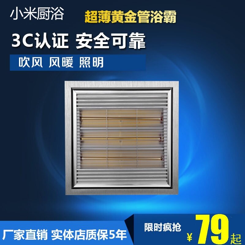 30x30x60 Integrated Ceiling Embedded Yuba Bathroom Heating Ultra-thin Heating Gold Tube Toilet Single Function