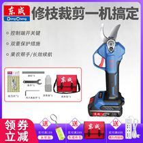 East Chengdu Branch Scissors 20V Fruit Tree Garden Cut DCYD25B East City Wireless rechargeable lithium electric cutting branch machine