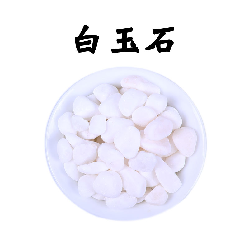 Vật liệu làm vườn hoa lan, ngọc trắng trang trí vật tư, chậu thủy canh trang trí thịt vòi tưới lan