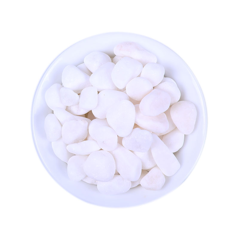 Vật liệu làm vườn hoa lan, ngọc trắng trang trí vật tư, chậu thủy canh trang trí thịt vòi tưới lan
