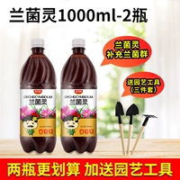 Orchid Spirit 1000mlx2 бутылка