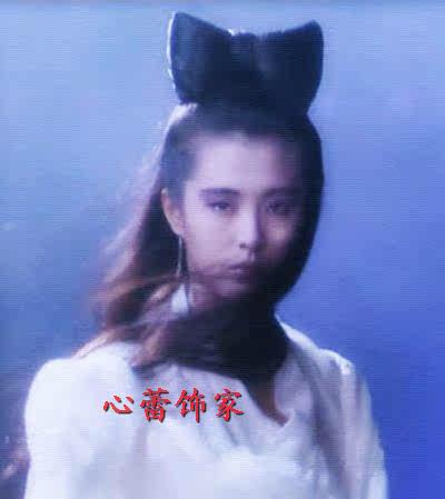 Extension cheveux - Chignon - Ref 235115 Image 10