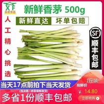 Fresh lemongrass 500g Lemongrass Lemongrass Thai Dongyanggong soup raw material hot pot seasoning multi-province