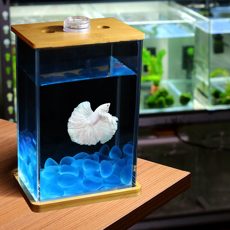 Creative Ultra White Glass Bucket Fish Tank Thai Bucket Fish Table Microscape Eco Aquarium Small Tropical Ornamental Fish Tank