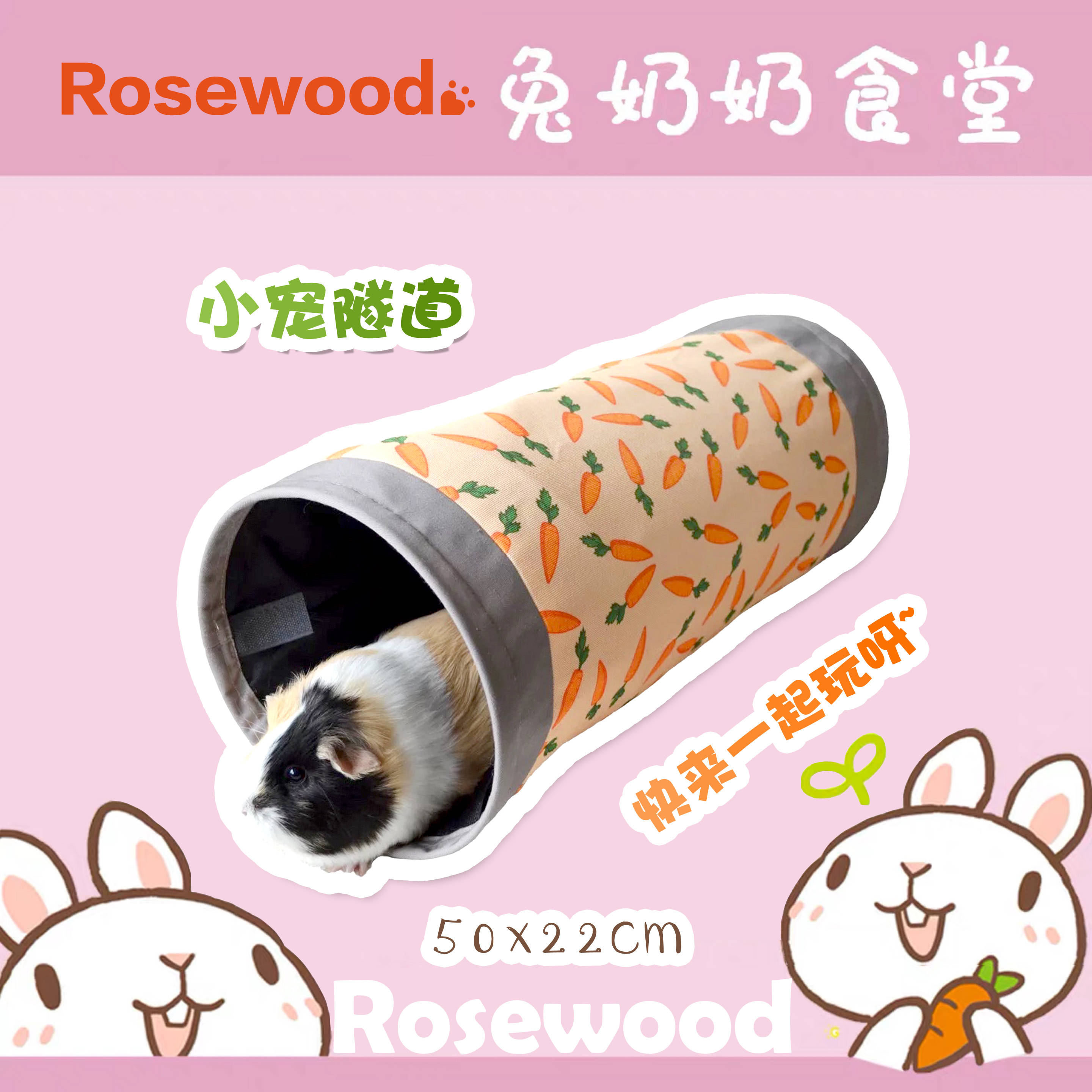 Rosewood UK Imported Pet Toy Rabbit Dutch Pig Guinea Pigs Dragon Cat Tunnel Channel Puzzle