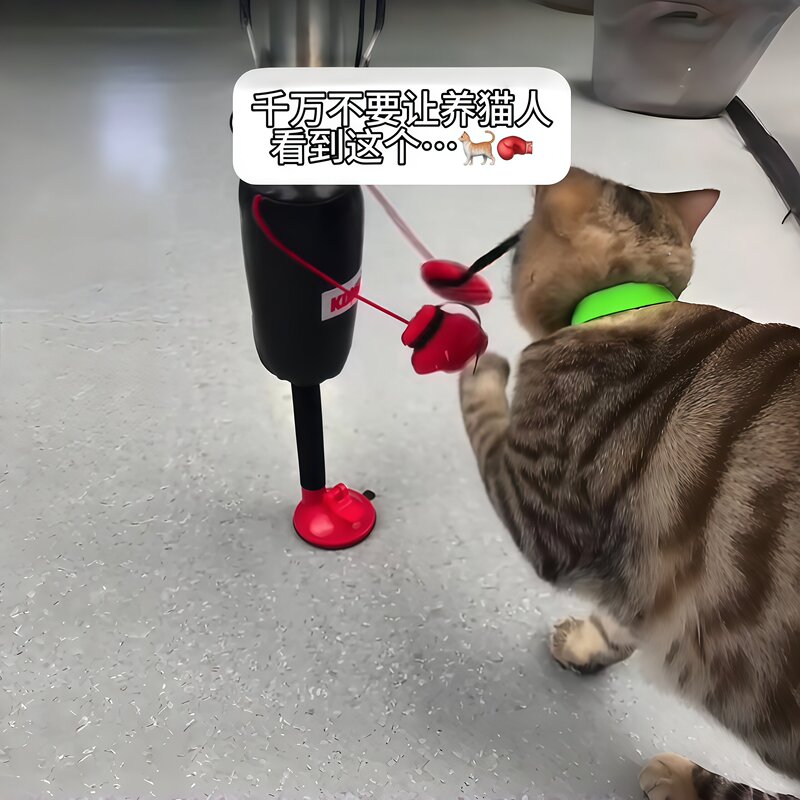 Cat Boxing Toy for Self-Entertainment, Cat Boxing Game with Suction Cup Stand, Boxing Gloves, Pet Interactive Game Cat Boxing Toy for Self-Entertainment, Cat Boxing Game with Suction Cup Stand, Boxing Gloves, Pet Interactive Game
