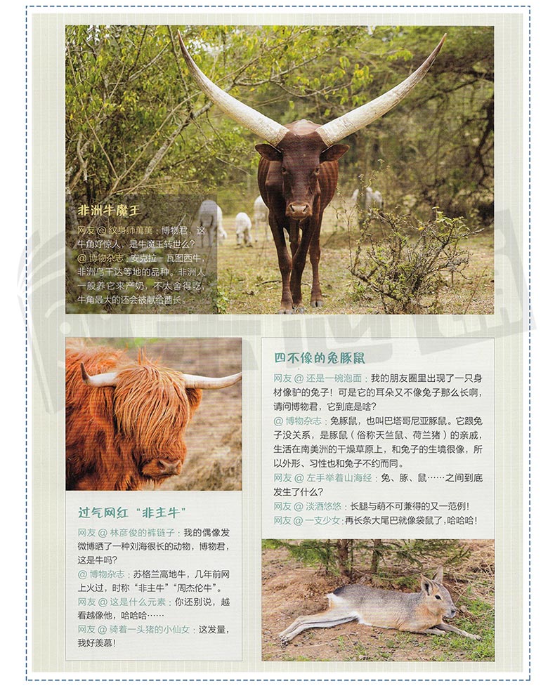 中国国家地理出品 《博物君式科普》 十年博物杂志精选 图4