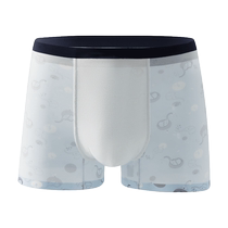 Mens underwear ice silk summer breathable 2024 new mens boxer shorts boys boxer briefs antibacterial